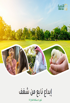 تقرير-الاستدامة-لعام-2024