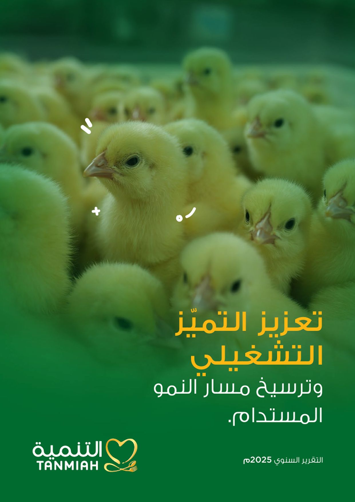 التقرير-السنوي-2025