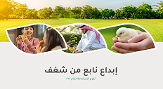 تقرير-الاستدامة-لعام-2024