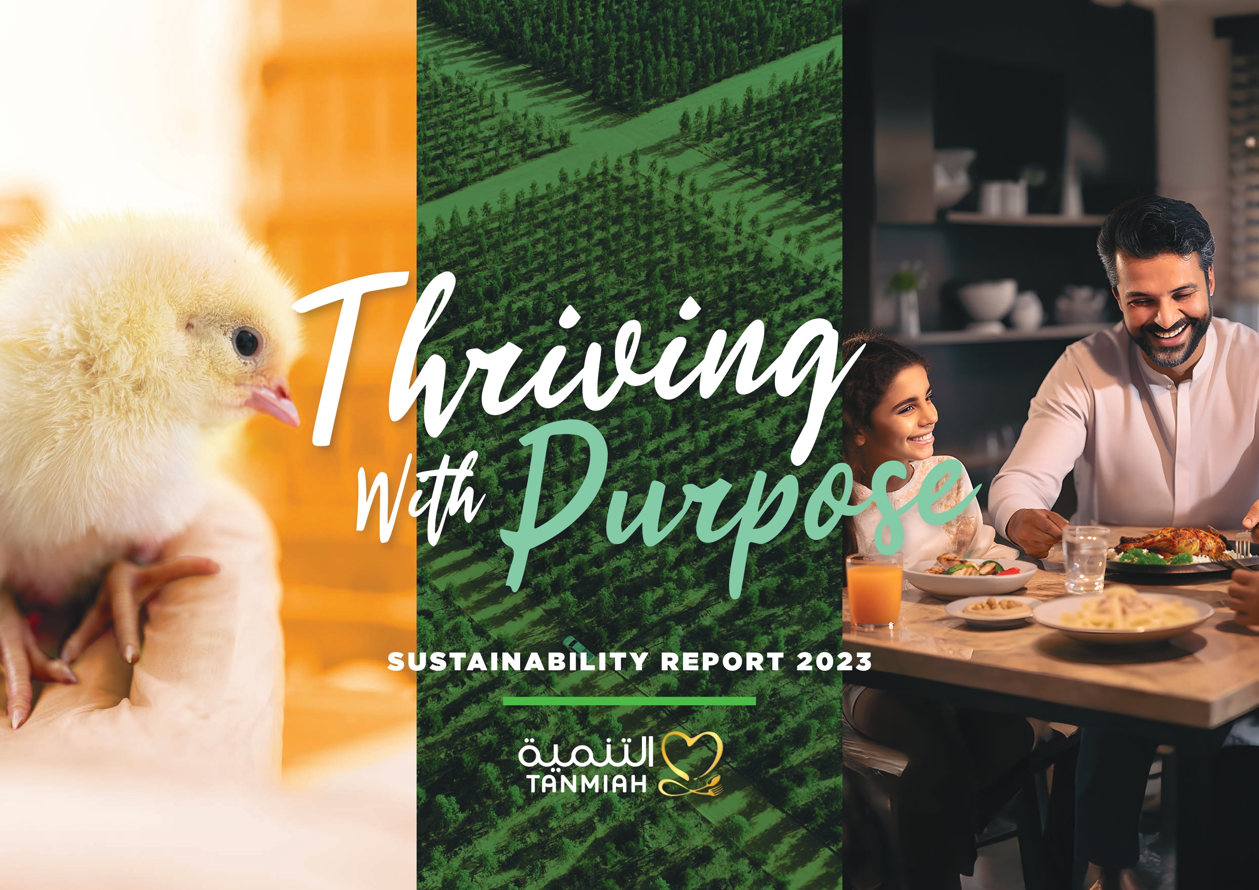 sustainability-report-2023