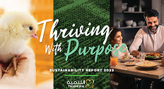 sustainability-report-2023